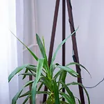 アパート Kolev - Two Bedroom Cozy