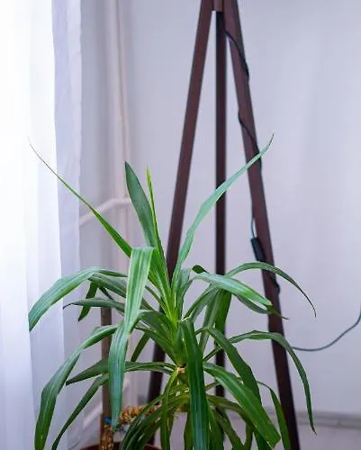 Apartment Kolev - Two Bedroom Cozy